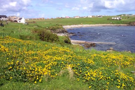 Hosick4.jpg (43960 bytes)