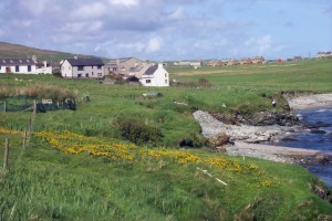 BchHsP4a.jpg (22255 bytes)